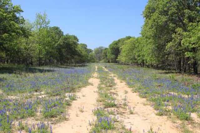 La Vernia, Texas